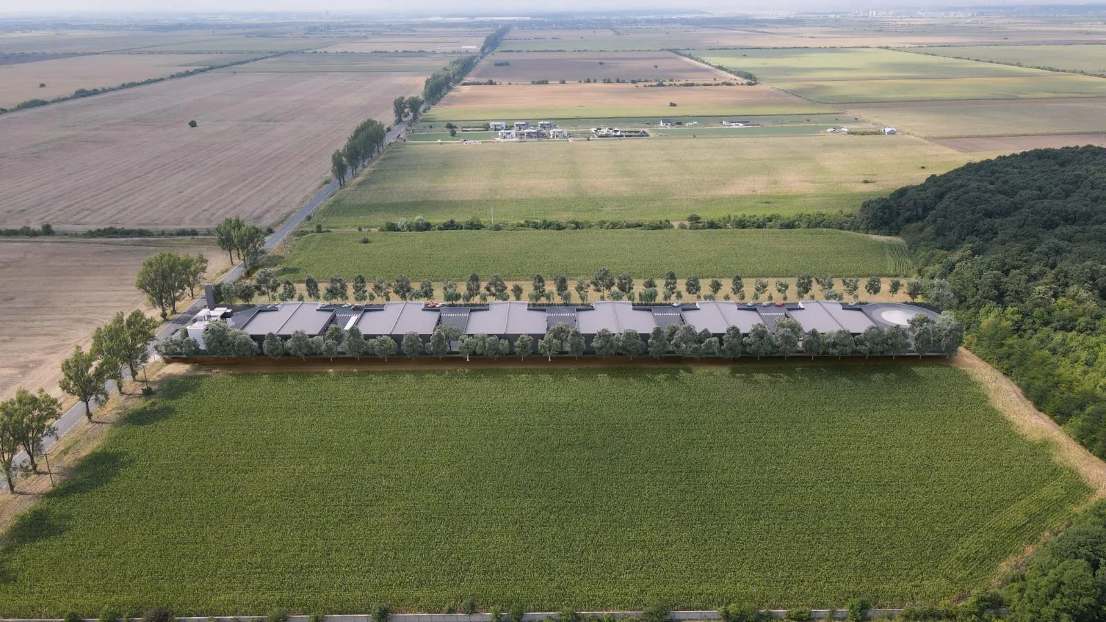 Vedere din dronă pe toată lungimea terenului, cu pădurea într-o parte și drumul județean în cealaltă.